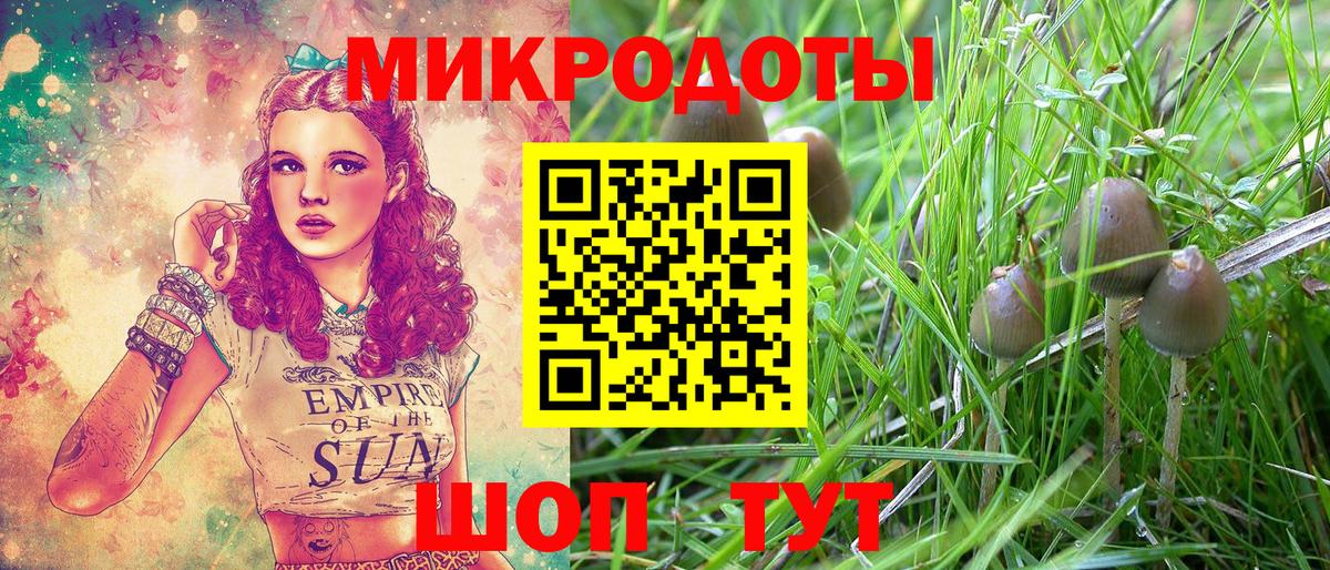 Псилоцибиновые грибы GOLDEN TEACHER Курчалой